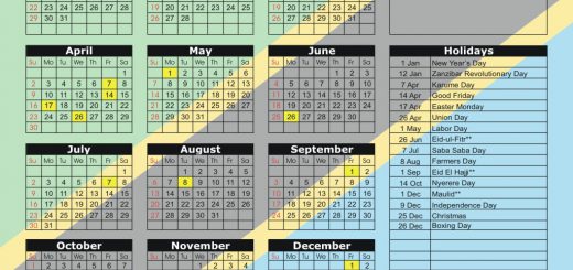 Dar es Salaam Stock Exchange (DSE) 2017 Holiday Calendar